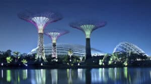 Gardens by the Bay at night, featuring glowing Supertrees in Singapore.