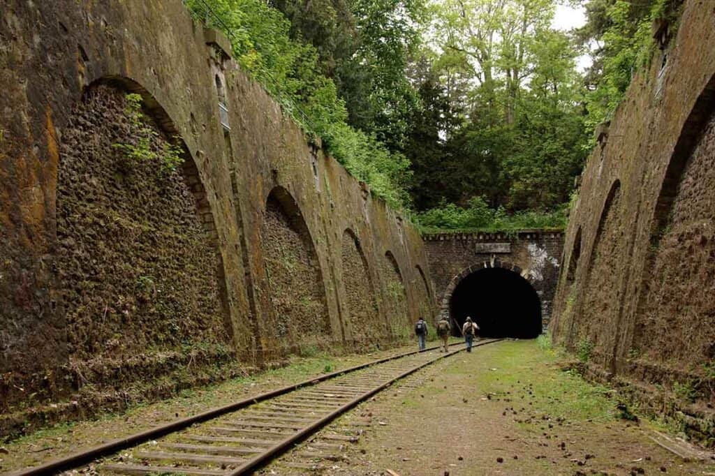 La Petite Ceinture Paris Abandoned Railway
